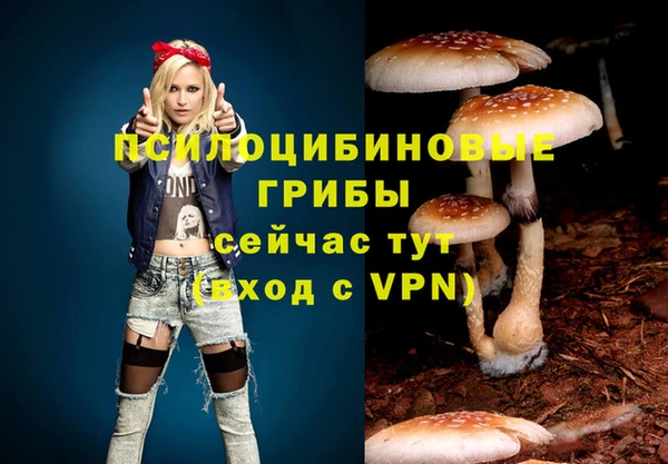 прущие грибы Касимов