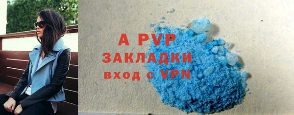 прущие грибы Касимов