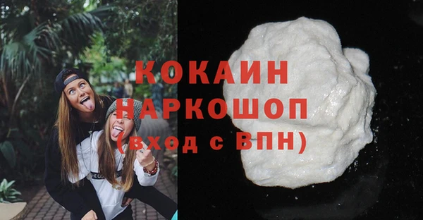 прущие грибы Касимов