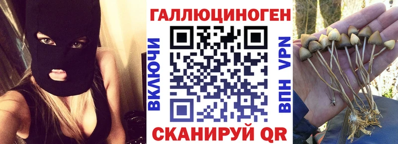 Купить закладки  Невельск  Псилоцибиновые грибы Cubensis 
